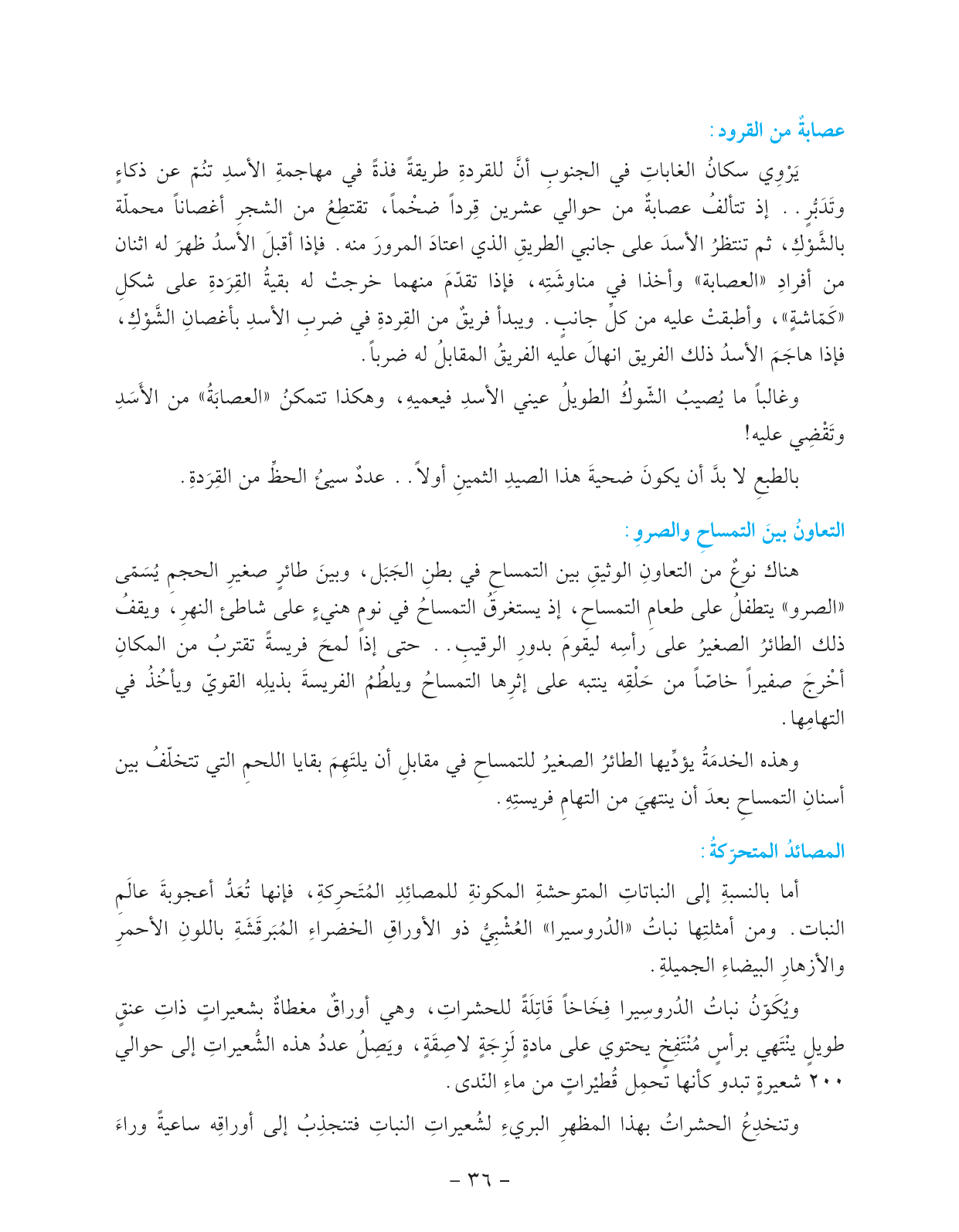 Kuwaiti Arabic Curriculum — Grade 11, Term 1 (لغتي العربية), page 41 — original page scan