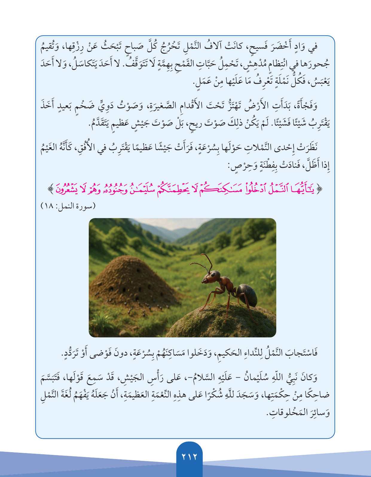 Kuwaiti Arabic Curriculum — Grade 5, Term 1 (لغتي العربية), page 213 — original page scan