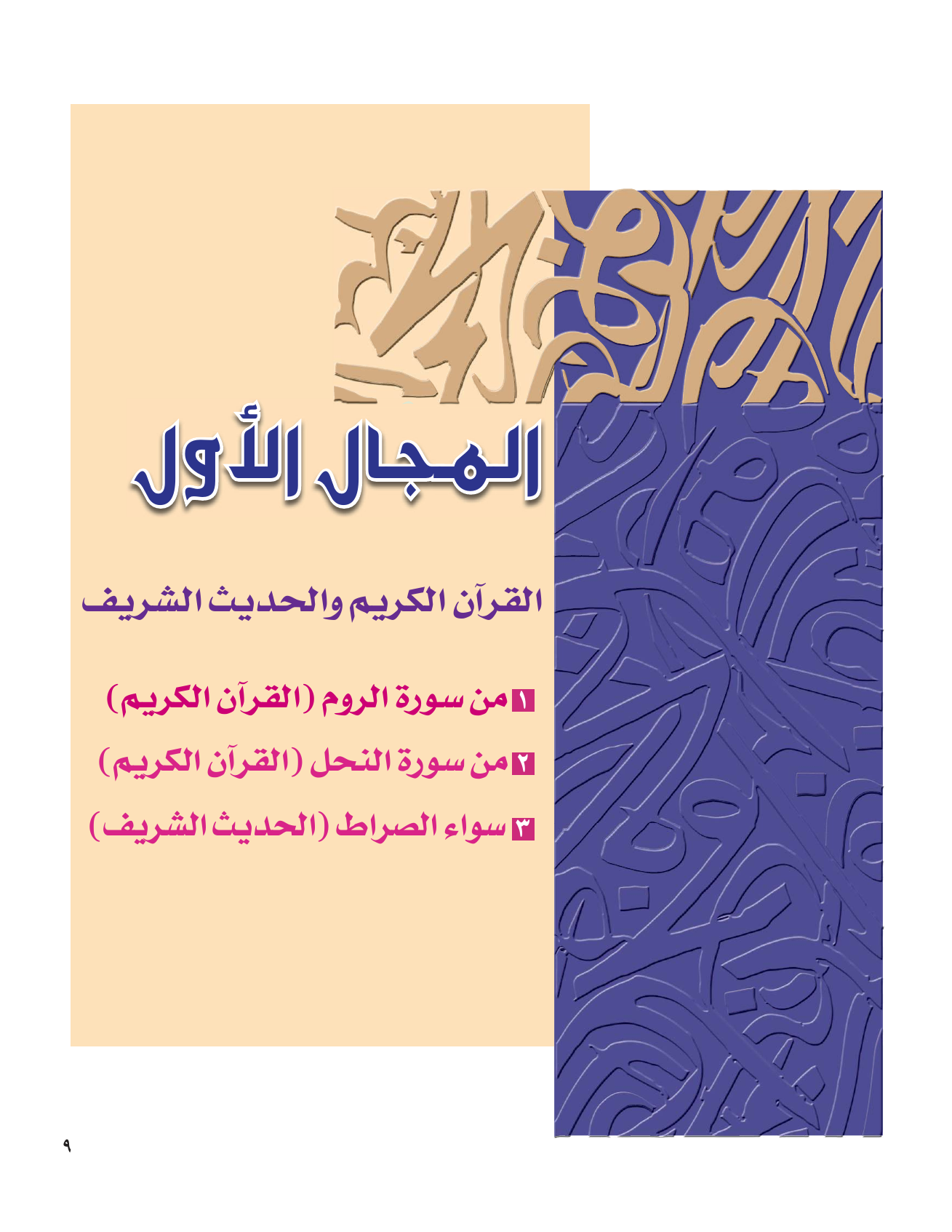Kuwaiti Arabic Curriculum — Grade 12, Term 1 (لغتي العربية), page 14 — original page scan