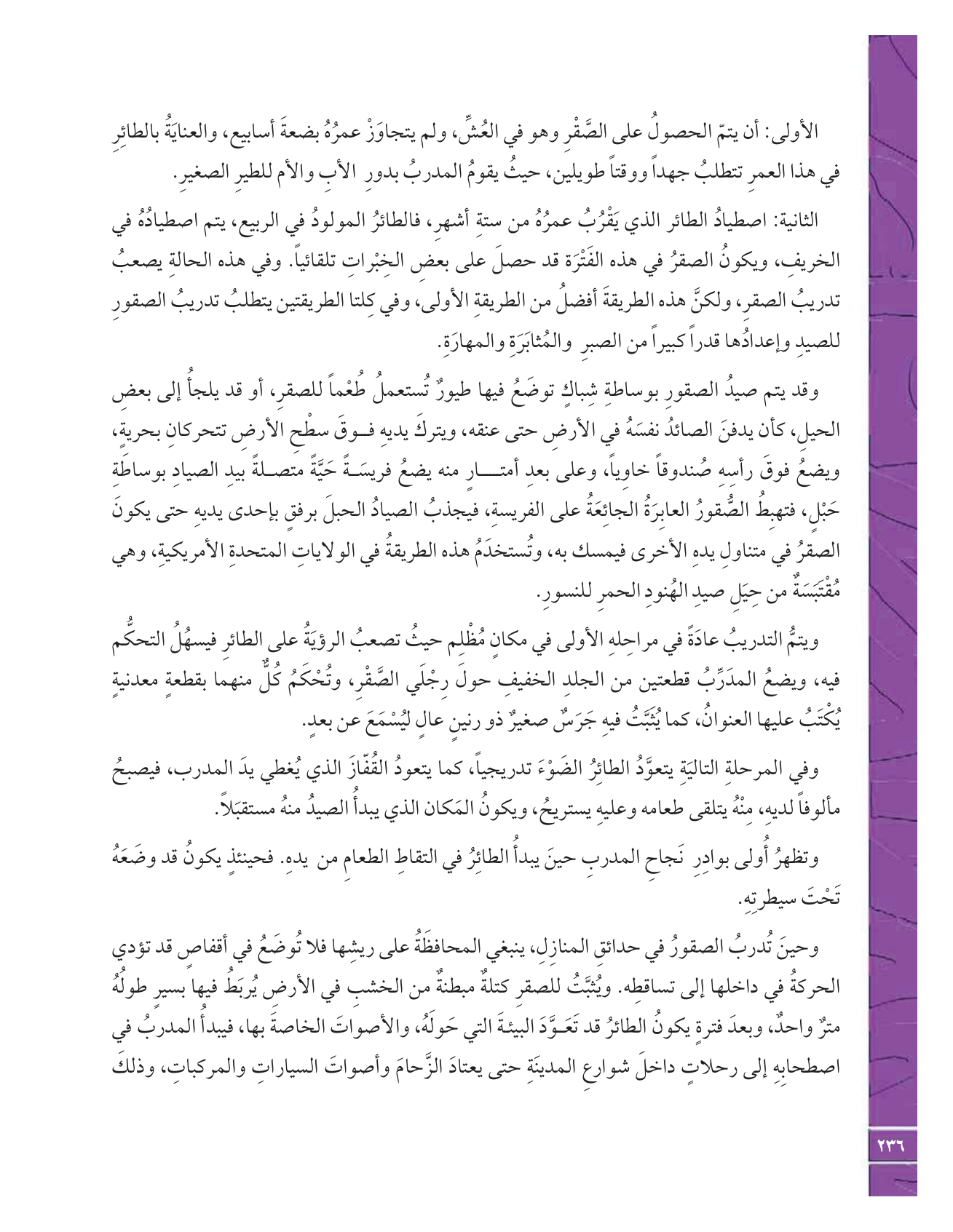 Kuwaiti Arabic Curriculum — Grade 12, Term 1 (لغتي العربية), page 253 — original page scan