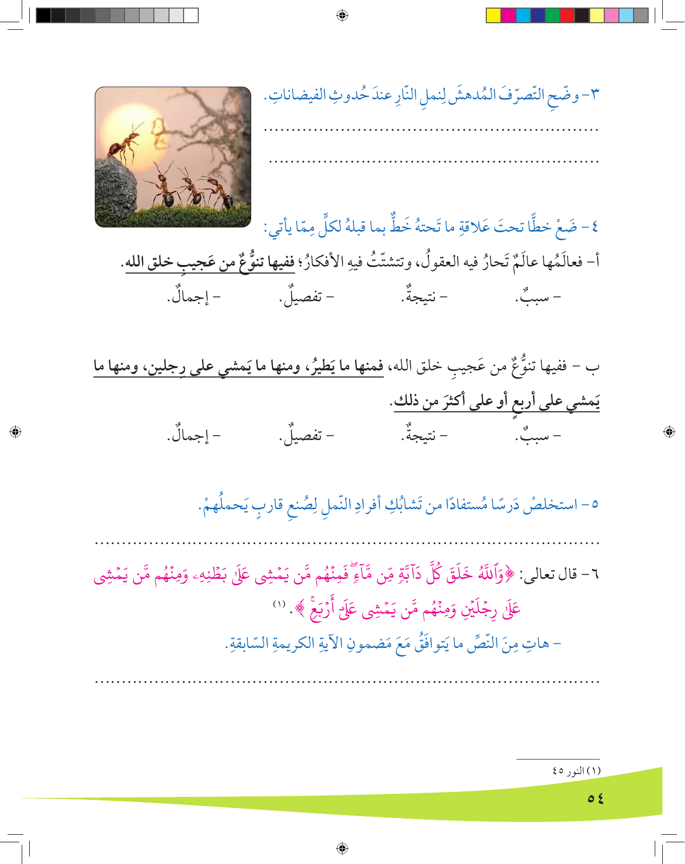 Kuwaiti Arabic Curriculum — Grade 8, Term 1 (لغتي العربية), page 55 — original page scan